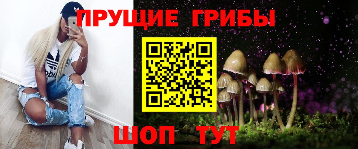 Борзя  Галлюциногенные грибы Cubensis  Вход с VPN 