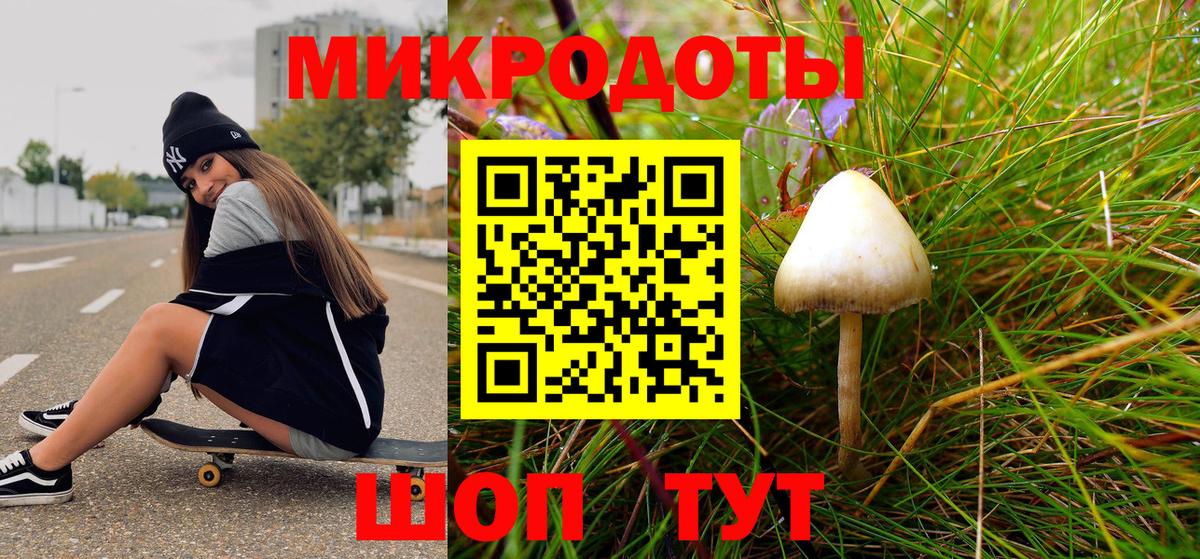Бошки Шишки Борзя