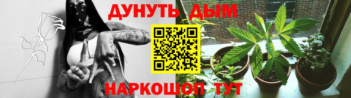 Борзя  Конопля Bruce Banner  Бошки марихуана White Widow  Вход с VPN  Марихуана THC 21% 